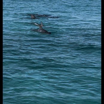 Fury Water Adventures - Boating Near Me - Key West, Florida Fury Water Adventures - Boating Near Me - Key West, Florida
