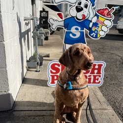 Chilly Jilly's - Even the dogs like Slush Puppies!