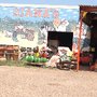 Photo of Diana's Nursery & Patio