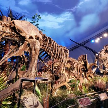 The Children's Museum - Dinosaurs at Children's Museum of Indianapolis - Children's Museums Near Me - Indianapolis, Indiana The Children's Museum - Dinosaurs at Children's Museum of Indianapolis - Children's Museums Near Me - Indianapolis, Indiana
