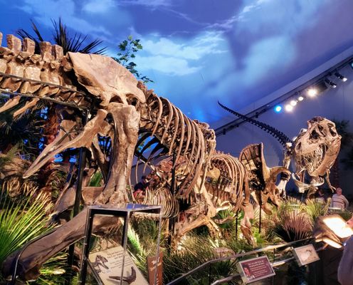 The Children's Museum of Indianapolis by null