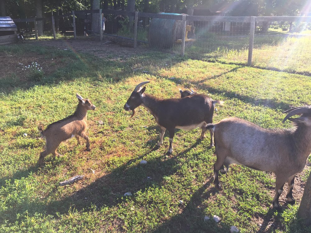 CHAIN O LAKES CAMPGROUND 28 Photos & 21 Reviews 7231 S M 88 Hwy