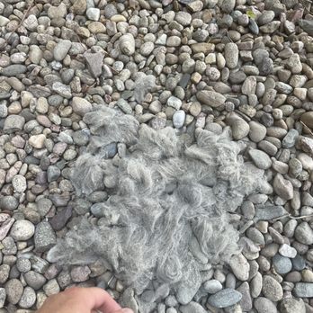 Westcliff Apartments - Dog hair - Apartments Near Me - Westminster, Colorado Westcliff Apartments - Dog hair - Apartments Near Me - Westminster, Colorado