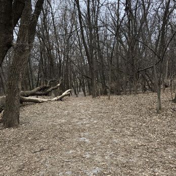 Arlington-Arkwright Dog Park - Dog Parks Near Me - Saint Paul, Minnesota Arlington-Arkwright Dog Park - Dog Parks Near Me - Saint Paul, Minnesota