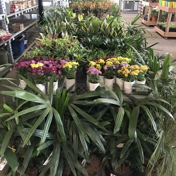 The Home Depot - Plants as far as the eye can see. - Hardware Stores Near Me - San Jose, California The Home Depot - Plants as far as the eye can see. - Hardware Stores Near Me - San Jose, California