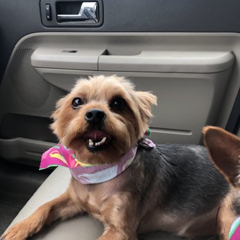 Ooh Puppy - Pet Groomers Near Me - La Mirada, California