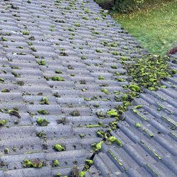 Santos Landscaping NW