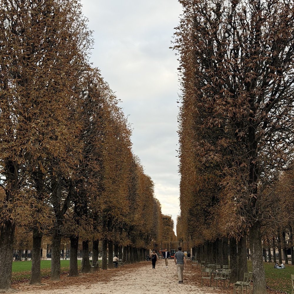 Jardin du Luxembourg - This was Fall, Oct 2025 - Parks Near Me - Paris, 75 Jardin du Luxembourg - This was Fall, Oct 2025 - Parks Near Me - Paris, 75