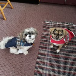 Promway Kennels - Annie and sammy