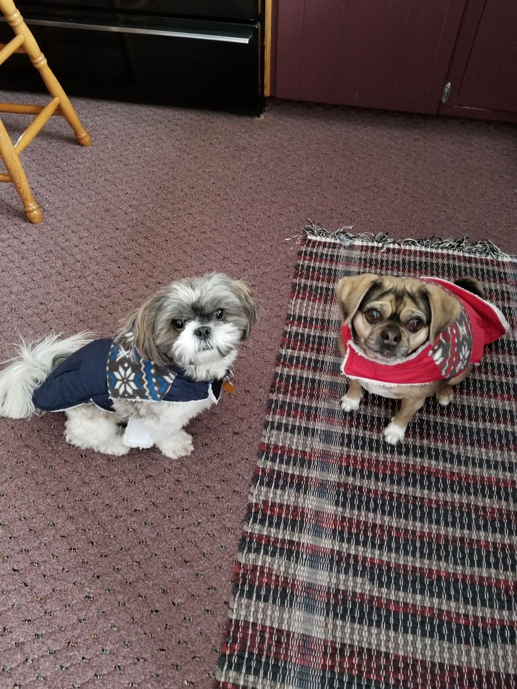 PROMWAY KENNELS Pet Sitting 6451 Promway Ave NW, North Canton, OH