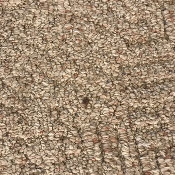Sun Realty - Blood on carpet - Property Management Near Me - Corolla, North Carolina