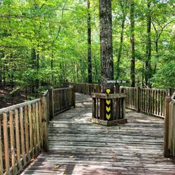 Deerlick Creek Campground