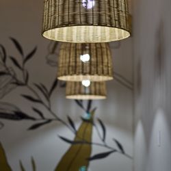 Koi Salon