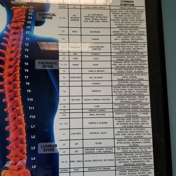 Living Well Balanced - Chiropractors Near Me - Raleigh, North Carolina Living Well Balanced - Chiropractors Near Me - Raleigh, North Carolina