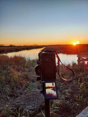 Hunting Island by null