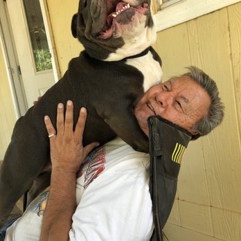 Ruff House Pet Resort - Our "before" pic.  He loves to show affection.  lol - Pet Training Near Me - Riverside, California