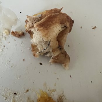 Nana’s Kitchen - This are multiple peices of steel wool throughout the waffle that I possibly ate. - Vegan Near Me - Chandler, Arizona Nana’s Kitchen - This are multiple peices of steel wool throughout the waffle that I possibly ate. - Vegan Near Me - Chandler, Arizona