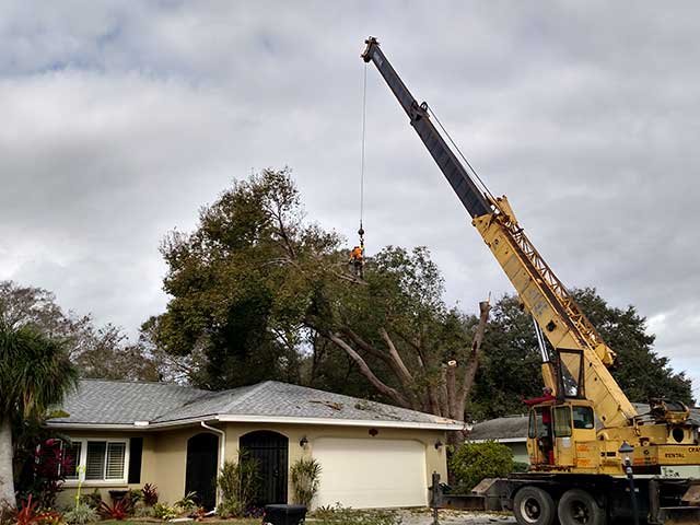 Slide of Duffy Companies