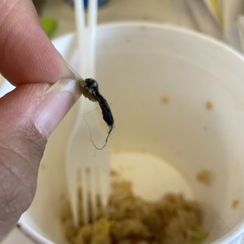 Kyoto Sushi & Bento - String I spit out.. that was somewhere at the bottom of my food - Japanese Near Me - Aiea, Hawaii Kyoto Sushi & Bento - String I spit out.. that was somewhere at the bottom of my food - Japanese Near Me - Aiea, Hawaii