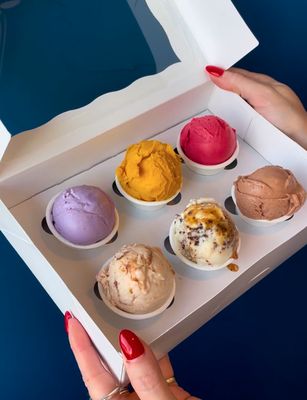 Honeysuckle Gelato Dresden by null