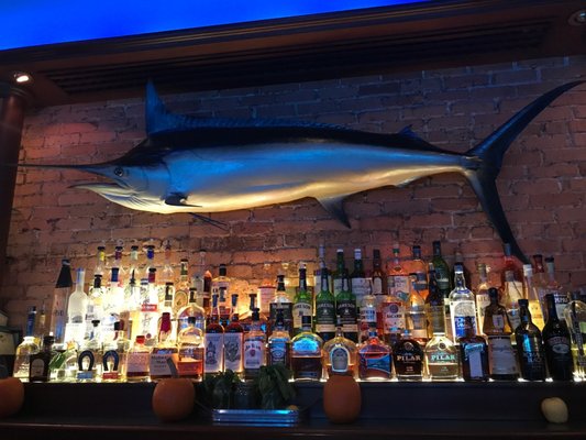BLACK MARLIN - 61 Photos & 101 Reviews - 53 W Osceola St, Stuart