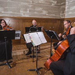Forte Strings