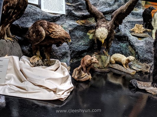 Buffalo Nations Museum by null