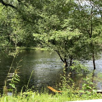 Troy Spring State Park - Parks Near Me - Branford, Florida