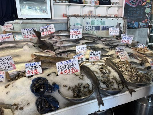 City Fish Co. by null