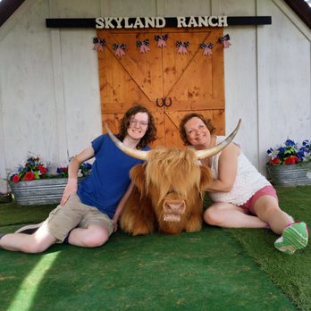 SkyLand Ranch - Our photo session was Dozer. He can also stand up for the photos - Attraction Farms Near Me - Sevierville, Tennessee SkyLand Ranch - Our photo session was Dozer. He can also stand up for the photos - Attraction Farms Near Me - Sevierville, Tennessee