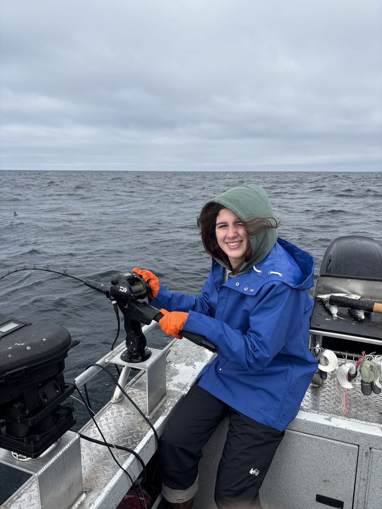 Seldovia Fishing Adventures and Bed and Breakfast Logo