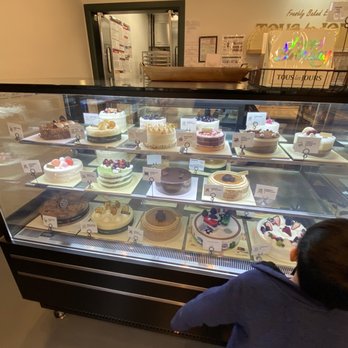 Tous Les Jours - Cake display. So cute! - Coffee & Tea Near Me - Westminster, Colorado