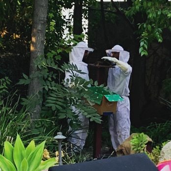 The Bartering Bees - Pest Control Near Me The Bartering Bees - Pest Control Near Me