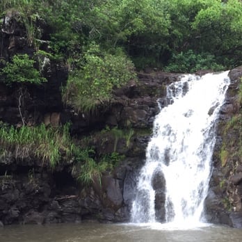 E Noa Tours - Tours Near Me - Honolulu, Hawaii E Noa Tours - Tours Near Me - Honolulu, Hawaii