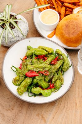 Harriet's Rooftop by null