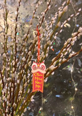 Trader Joe's by null