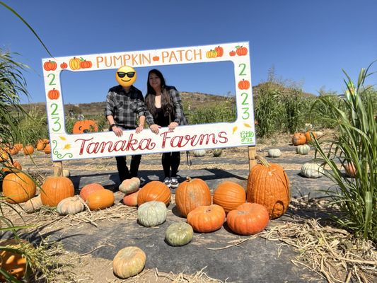 Tanaka Farms by null
