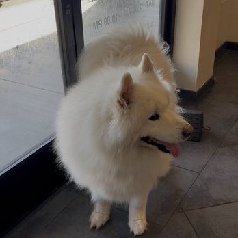 Barking Bliss  - Pet Boarding Near Me - Lake Forest, California