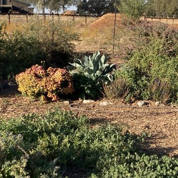 Big Table Ranch - Vacation Rentals Near Me - Coulterville, California