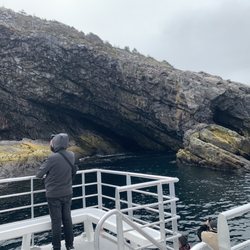 Iceberg Quest Ocean Tours