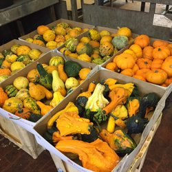 Mercato dei Fiori - Per Halloween