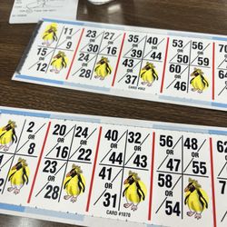Grand Oaks Palace Bingo Center - Lucky penguin strip