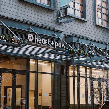 Heart + Paw - Veterinarians Near Me - Philadelphia, Pennsylvania Heart + Paw - Veterinarians Near Me - Philadelphia, Pennsylvania