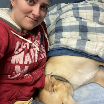 Austin Veterinary Diagnostic Hospital - Recovering from his splenectomy. - Veterinarians Near Me - Austin, Texas Austin Veterinary Diagnostic Hospital - Recovering from his splenectomy. - Veterinarians Near Me - Austin, Texas