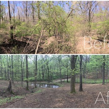 Grounded Land Solutions - Tree Services Near Me