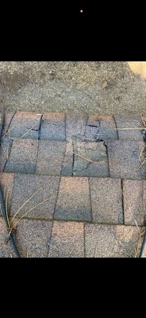 Slide of Sendit Roof Repair
