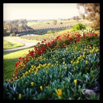 Bethany Wines - Wineries Near Me - Tanunda, SA
