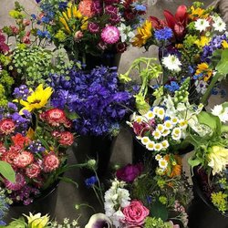 Earth Angel Flower Farm
