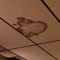 Hooker's River Stop - Stained ceiling tiles.  These cost like $2 at the store.