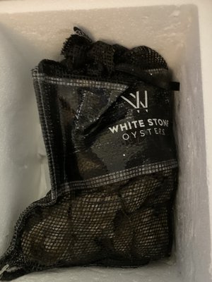 White Stone Oyster Company by null